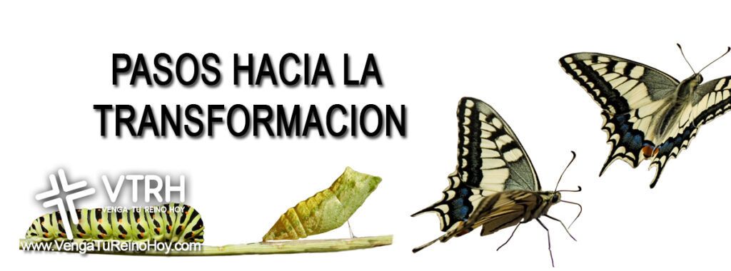 Pasos a Transformacion